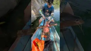 Preparing ceviche of damselfish while we fish