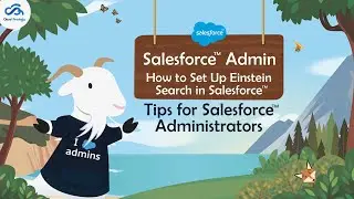 How To Set Up Einstein Search In Salesforce | Tips For Salesforce Administrators