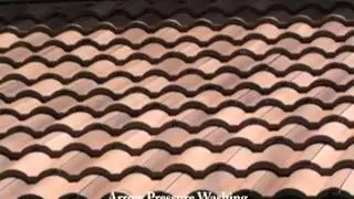 Stuart, Florida Roof Cleaning Service
