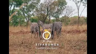 Siyabonga || The Harps
