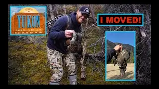 In The YUKON Looking for Grouse!!
