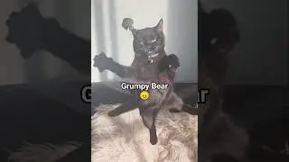Bear goes bananas (again 😆)