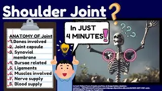 Shoulder joint Anatomy Explained Easy - Complete Shoulder Joint Anatomy Review in 4 MINUTES