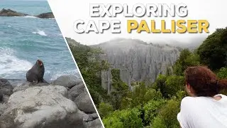 Wild Coast, Seals, Lighthouse & Putangirua Pinnacles | Exploring Cape Palliser