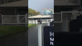 Back from holidays!  #horse #equestrian #thoroughbred #thoroughbredracing #horseracing #edit #shorts