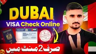 Как проверить визу в Дубае онлайн | Статус визы в ОАЭ онлайн всего за 2 минуты