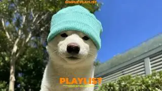 Playlist | Easy Grooves, Better Mood | Disco R&B Chill Vibes ✌️