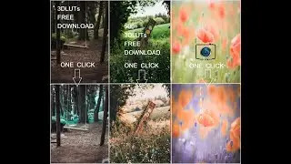 Color Lookup 500+ 3D luts Presets Free Download for Photoshop