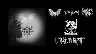 VHLOORHULMOOG ✠ ZYPREXA ✠ NAIKHXU - ITSEMURHISTA K&Auml;RSINEET #distrocore