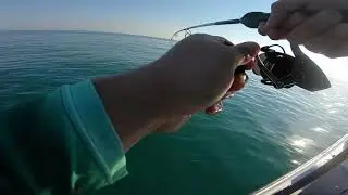 Reef Essence Rod (slow light jigging) + Pothunter jig vs King Fish / King Mackerel in Qatar sea