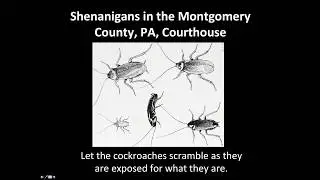 Thelma's Story - Montgomery County, PA, Courthouse Corruption