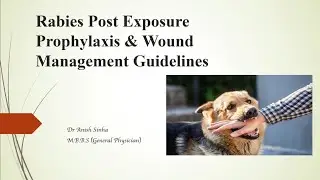 Rabies post exposure prophylaxis and wound management || Dog bite management
