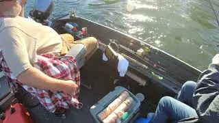 Kim O SALMON SLAYER