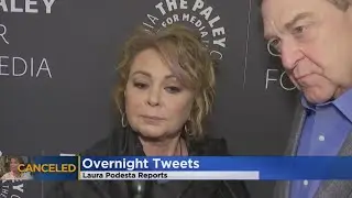 Roseanne Blames Ambien For Tweets