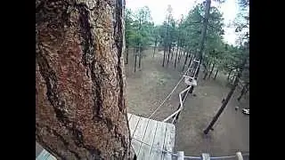 Flagstaff Extreme Adventure Course-Black Course Completed