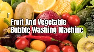 Gelgoog Fruit And Vegetable Washing Machine | Innovative Technology