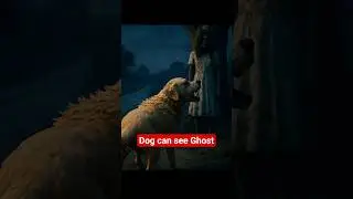 Dogs can see ghosts | True horror stories animated
