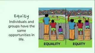 Pillars of Democracy