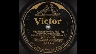 &ldquo;Wild-Flower&rdquo; Great White Way Orchestra on Victor 19077 (1923) Billy Murray whistles 