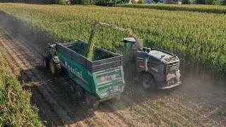 Krone Big-X 1180 | 3 x Fendt 700 Vario | Insilato Mais 2022 | Mais Silage | BRESOLIN TEAM