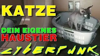 Eigene Katze in CYBERPUNK 2077 - Geheimes Haustier - Geheime Katze in Cyberpunk 2077 / Katzenfutter