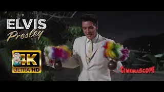 Elvis Presley - Rock-A-Hula Baby ⭐UHD⭐ (1961) AI 4K Enhanced Stabilized