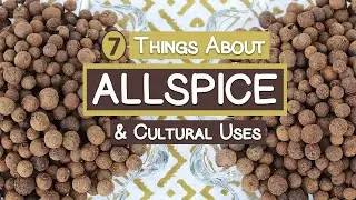 7 Things About Allspice and Its Cultural Uses