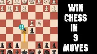 Destroy the Queen's Gambit in 9 Moves! Chess Strategy Explained