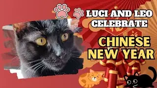 Luci and Leo Celebrate Chinese New Year
