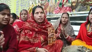🌻 हम तो मुरली वाले के दर जाएंगे 🌻 जरूर सुनें लाइक करें #fypシ゚viral #song #viralvideo #bhajan #bhakti