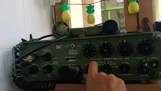 RUP-15 PD-8 receiving on 40m band LSB