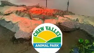 Chew Valley Animal Park | August 2025 | Full Tour 
