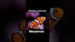 Clown fish merperson