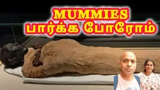 Mummies of Egyptian Pharaohs @National Museum of Egyptian Civilazarion EP-11 #157 #travel #egypt 