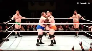 Gay Bears Wrestling
