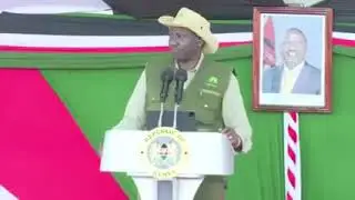 We will have our young people help us plant trees