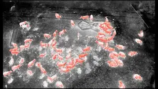 Beefree Agro night scan for farm security