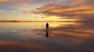 Metamorphosis - CLIP