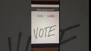 Yanny vs. Laurel