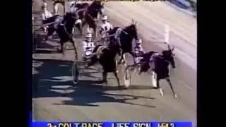 1993 Freehold Raceway - Breeders Crown 3YO C&G Pace (LIFE SIGN )