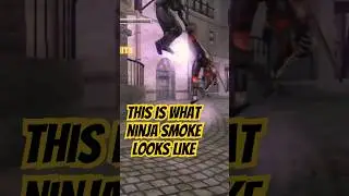 The Real Reason We Love Team Ninja