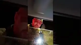 RETALIATORY STOP from cop