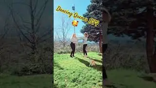 #fun #sun #dance #cat #filou #redcat #bff #happylife #@xPsychoTante