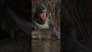 Fishing: The Best Natural Stress Reliever! 🎣🌊