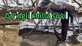 Chilla suvi - 2026