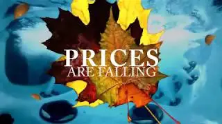 Bob's Intowne Spas: Fall Model Clearance Sale