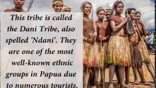 The Dani Tribe (REUPLOAD)