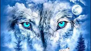 Dan Vasc - Song of the white wolf ( Official Music Video ) Reaction on Daniel Crane reacts.