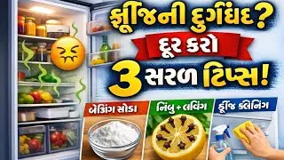 ફ્રીજમાંથી દુર્ગંધ દૂર કરવાની 3 સરળ ટ્રિક્સ | Fridge Bad Smell Removal Tips in Gujarati