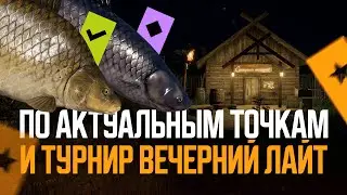 Медное (фарм), Острог (амуры) + Вечерний Лайт №2 ● Русская рыбалка 4 ● Перчик РР4